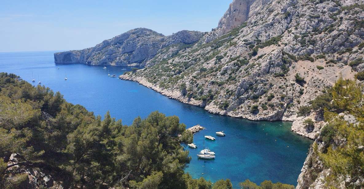 Marseille: Guided Hiking Calanques National Park From Luminy - Key Points