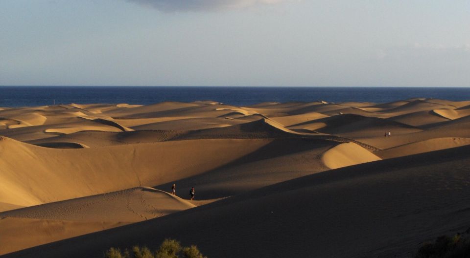 Maspalomas: E-Bike Tour With Camel Ride - Key Points