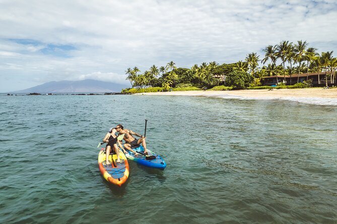 Maui'S ONLY Electric Powered Kayak & SUP Hybrid Rentals. - Key Points