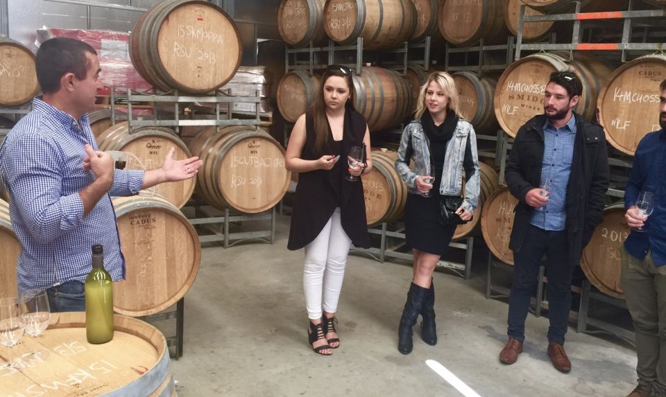 McLaren Vale: Small Group Wine Tour (Includes Lunch) - Key Points