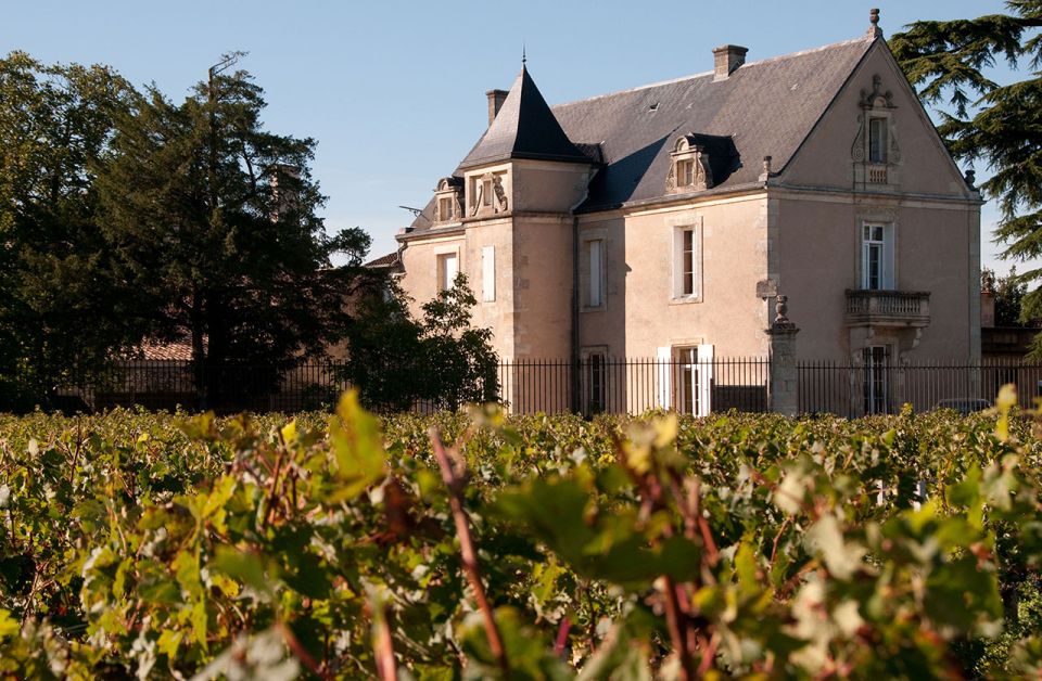 Medoc Tour : Margaux, Saint Estèphe and Greediness - Key Points