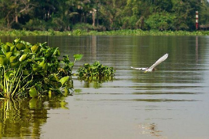 Mekong Delta Full Day by Speed Boat - Key Points