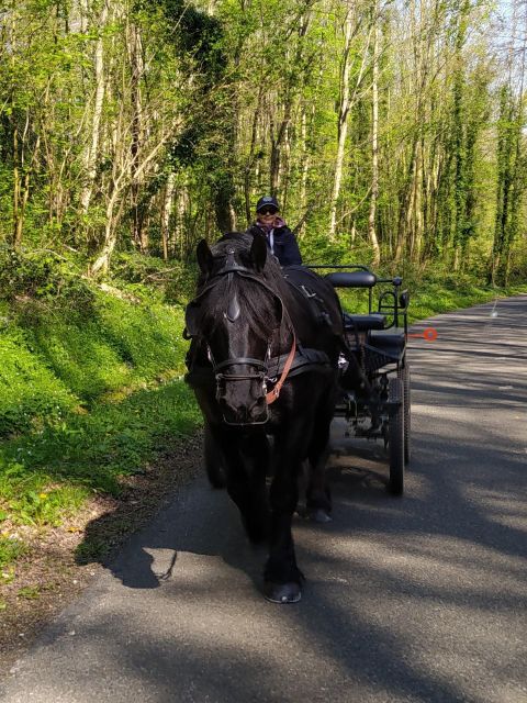 MENTHEVILLE : Horse Cariage Ride in Coutryside - Key Points