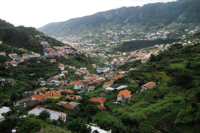 Mimosa Valley and Marocos Levada Guided Walk  - Madeira - Key Points