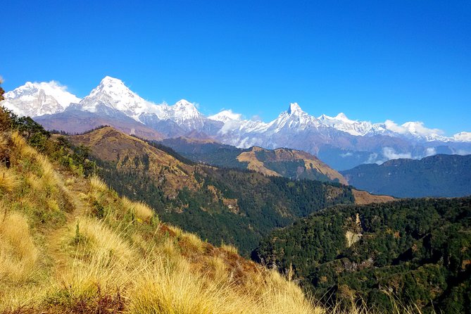 Mohare Danda Trek World Best Natural Trail - Key Points