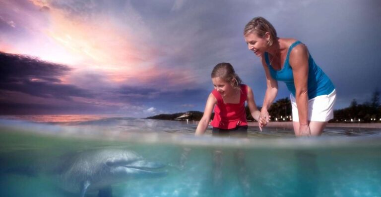 Moreton Island: Marine Discovery Cruise & Dolphin Feeding