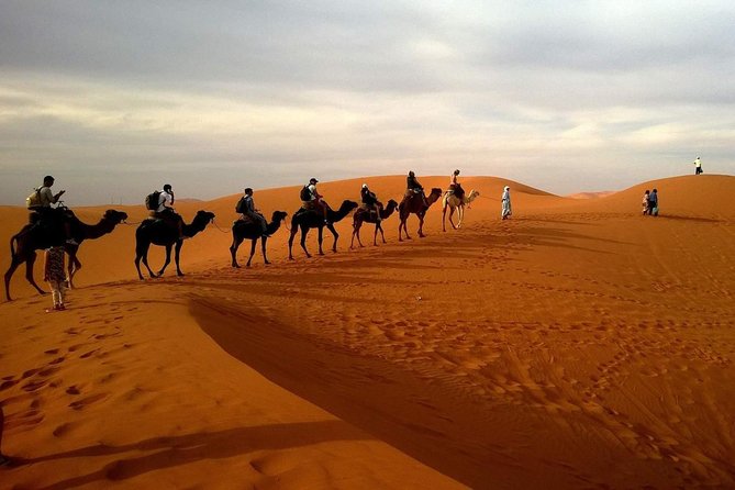 Morning Desert Safari With Long Camel Ride - Key Points