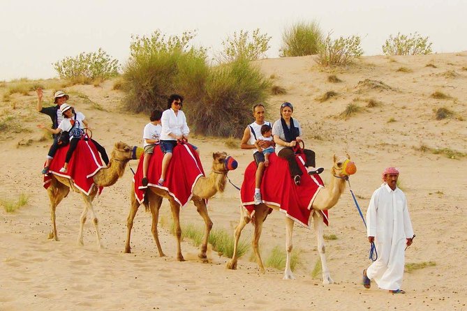 Morning Dubai Red Dunes Safari With Camel Ride & Sand Boarding - Key Points