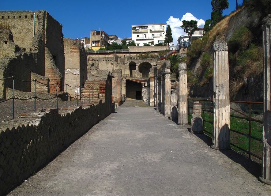 Naples: Pompeii & Herculaneum Tour With Lunch & Wine Tasting - Key Points