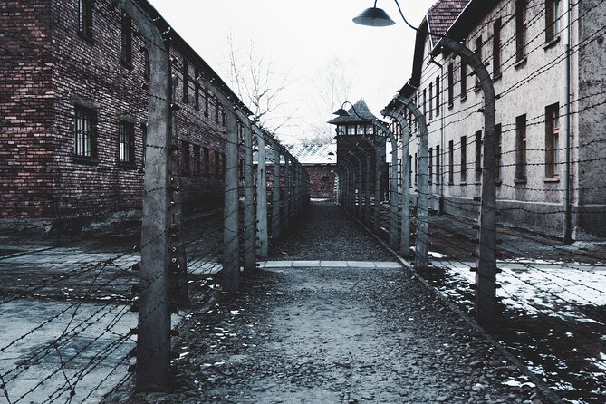 National Musuem Auschwitz From Krakow 5-8 People - Key Points