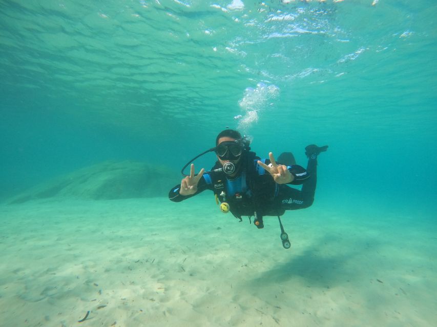 Naxos: Discover Scuba Diving on Agios Georgios Beach - Activity Details
