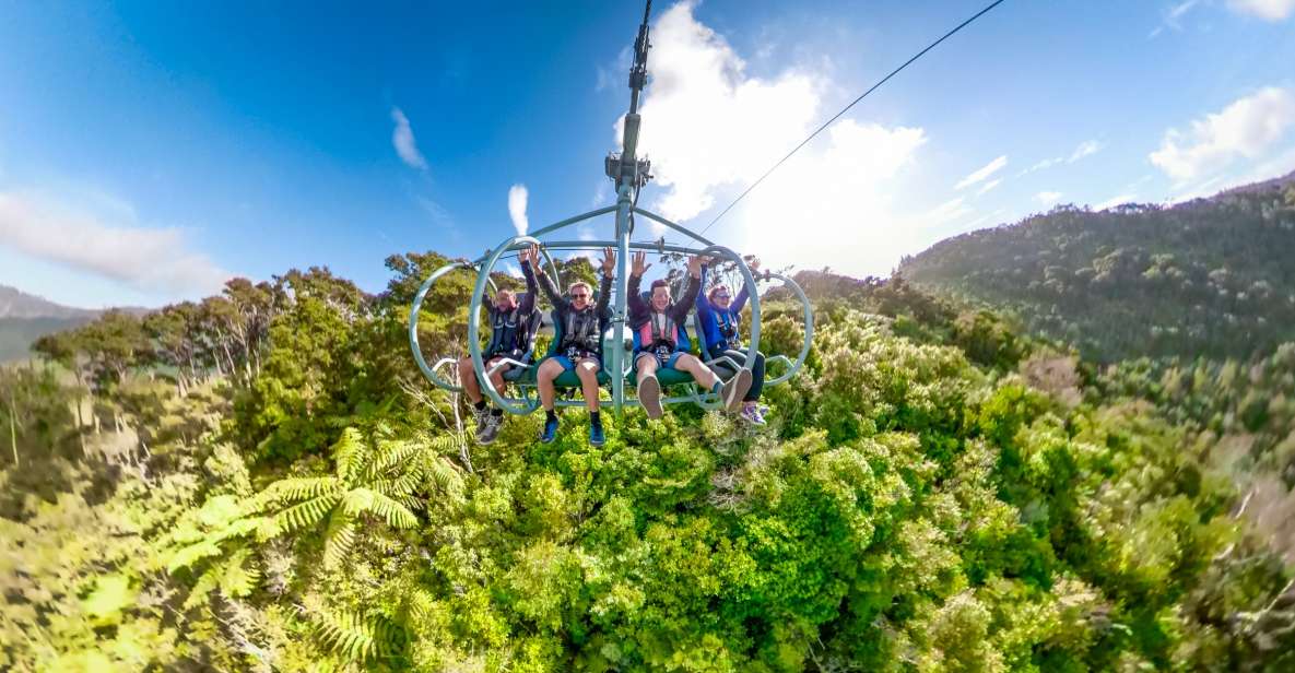 Nelson: Cable Bay Adventure Park Skywire Experience - Key Points