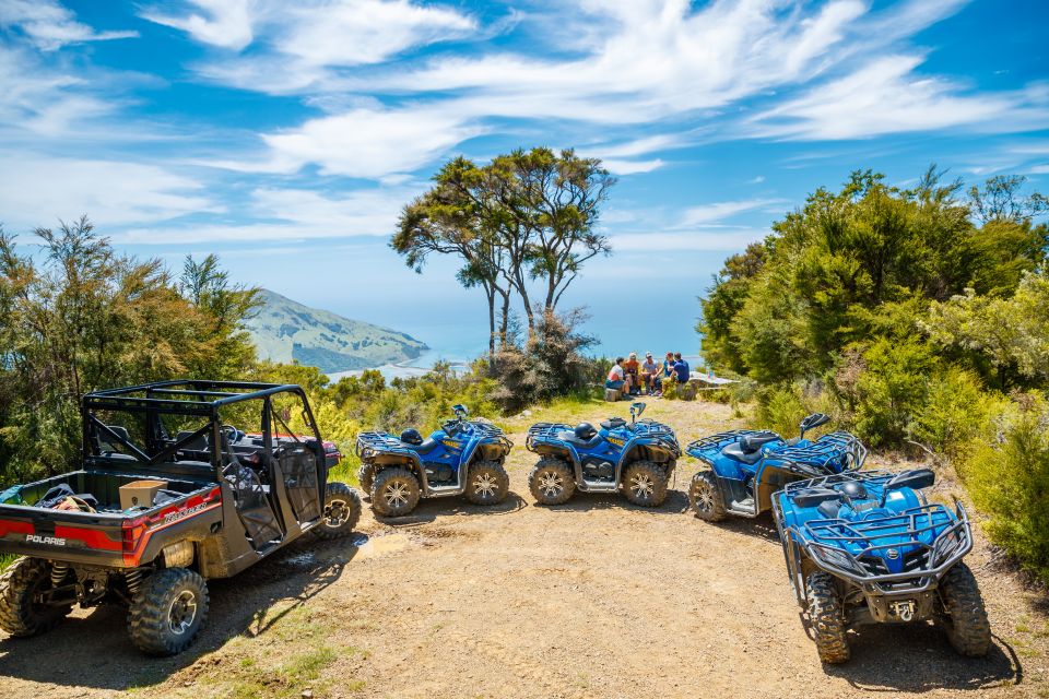 Nelson: Guided Quad Biking Tour Through Forest and Farmland - Key Points