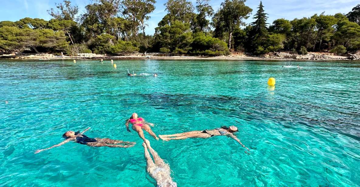 Nice: Lerins Islands Boat Tour With Snorkeling - Key Points