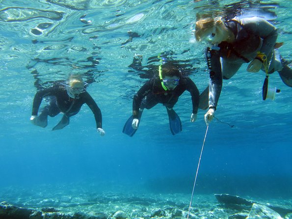 Olous – Guided Snorkelling Excursion to Discover Olous Sunken Ancient City - Just The Basics