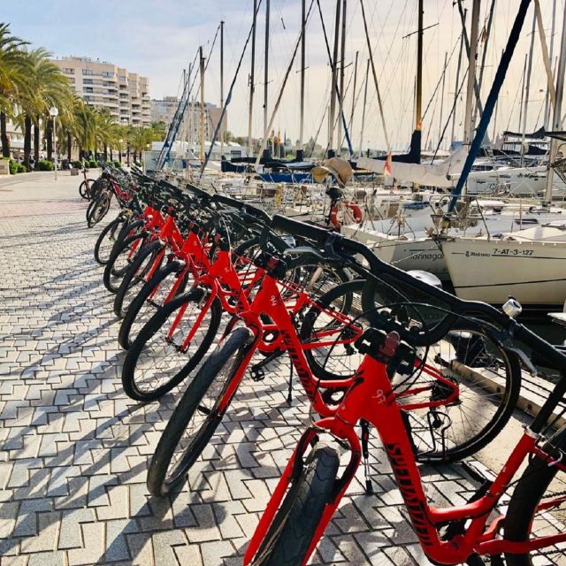 Palma De Mallorca: Guided Bicycle Tour With Tapas & a Drink - Key Points