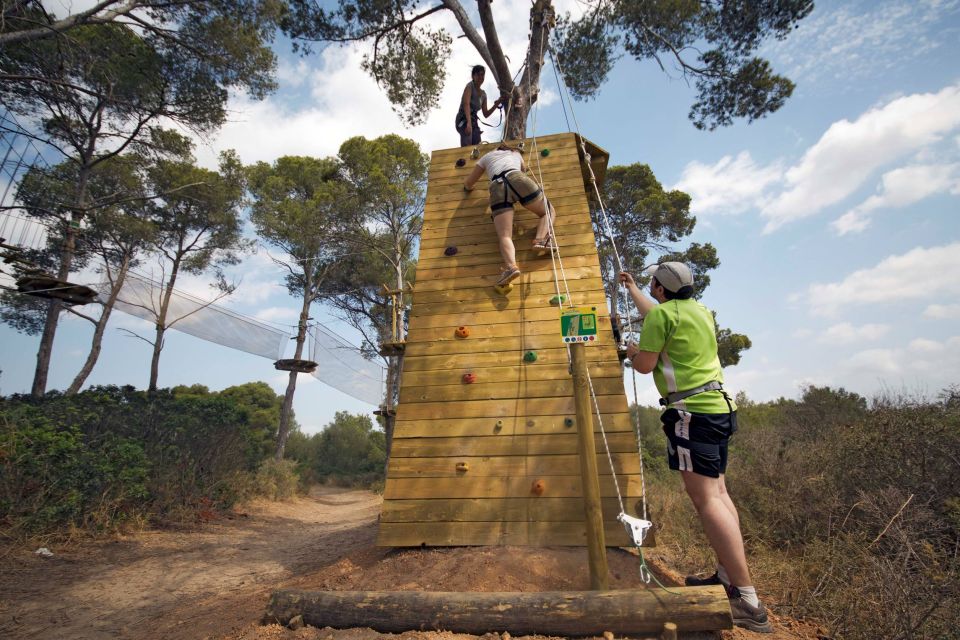 Palma: Family or Sports Course Adventure at Forestal Park - Key Points