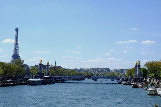 Paris Highlights: Half Day Private Walking Tour - Just The Basics