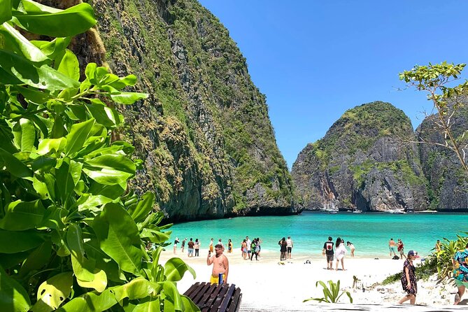 phi phi island day trip maya bay monkey beach khai island Phi Phi Island Day Trip (Maya Bay-Monkey Beach-Khai Island)