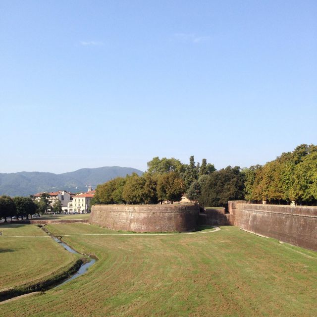 Pisa & Lucca With Wine Tasting and Lunch From Livorno