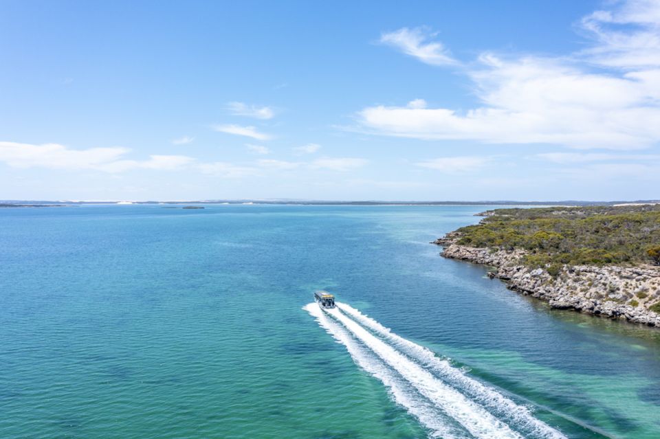Port Lincoln: Coffin Bay Seafood, Wine, and Nature Day Trip - Key Points