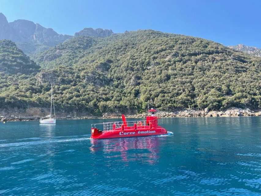 Porto : Discovery of the Marine Fauna and Flora/Bay of Porto - Key Points