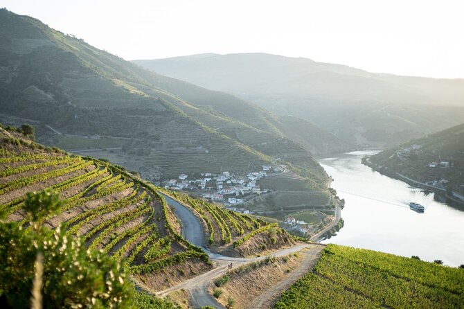 Premium Private Douro Tour: 2 Wineries With Tastings & Cruise - Key Points