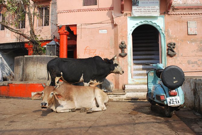 Private 2-4 Hour Walking Tour: Highlights of Varanasi - Key Points