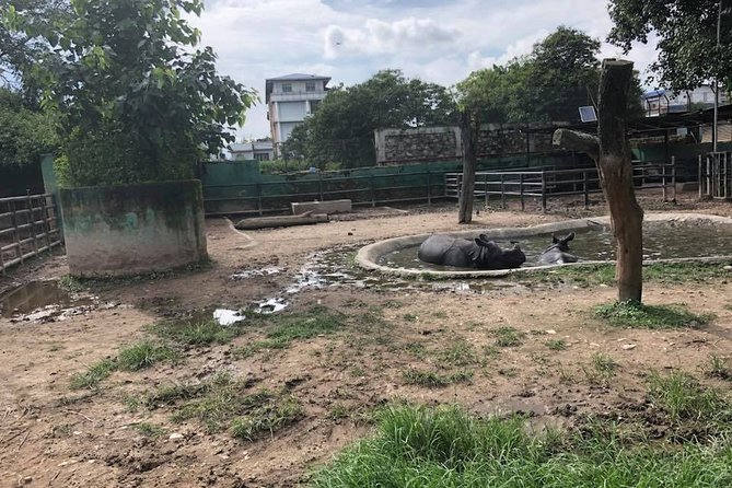 Private Day Trip To Central Zoo At Jawalakhel, Kathmandu