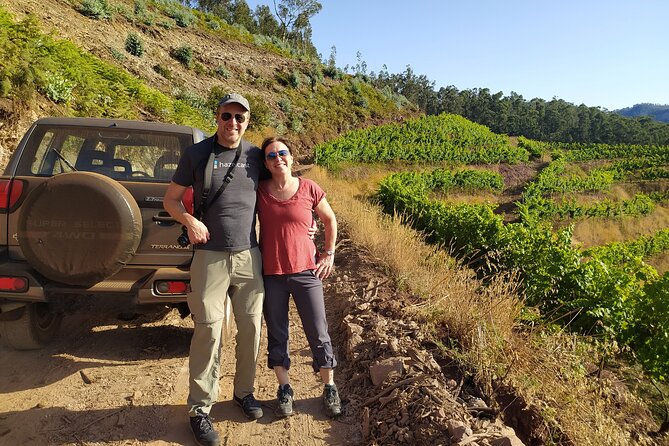 Private Half-Day Tour of Wine Fields in Portugal  - Key Points
