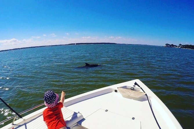 Private Hilton Head Dolphin Watching Tour With Waterfront Dining Stops - Tour Description