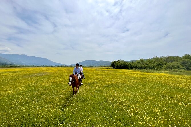 Private Horseback Riding Across River Ljuta - Key Points