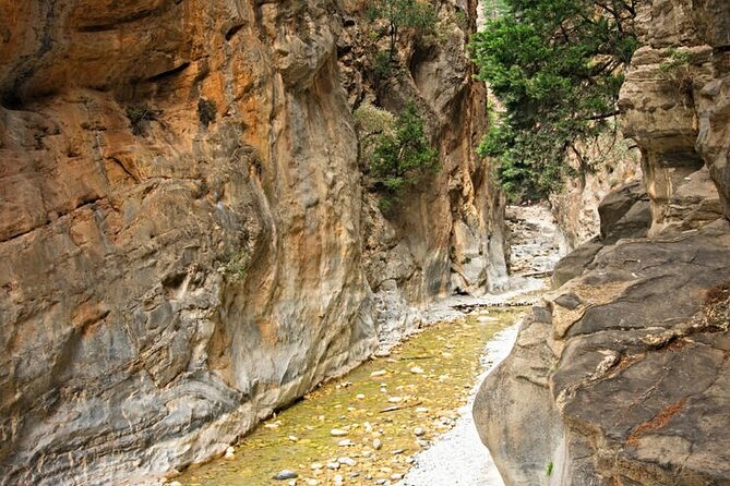 Private Roundtrip Transfer From Chania to Samaria Gorge Park - Just The Basics