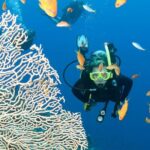 private scuba diving initiation with licensed guide Private Scuba Diving Initiation With Licensed Guide