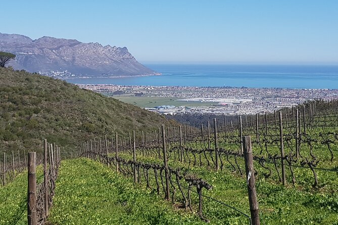 Private Wine Tasting Tour in Cape Town - Tour Details