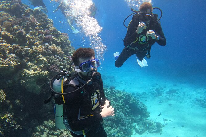 Professional Scuba Diving Trip in Hurghada With Lunch - Booking Details