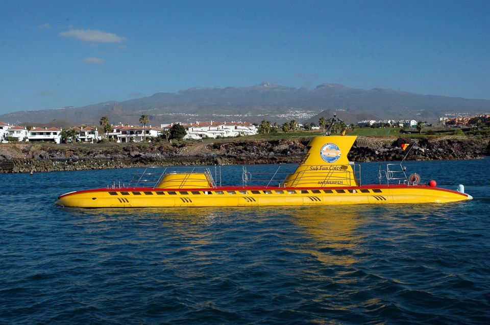 Puerto De La Cruz: Submarine Trip and Beach Stop in Tenerife - Key Points