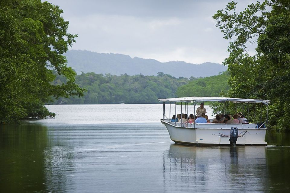 Queensland: Cape Tribulation, Daintree, and Mossman Day Trip - Key Points