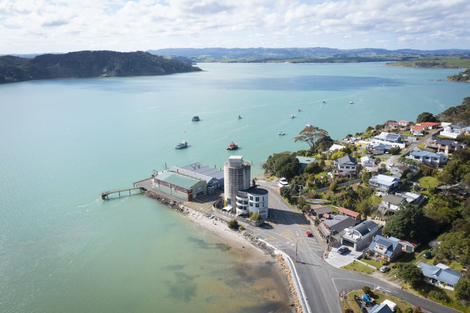 Raglan: Nature Cruise of Raglan Harbour - Key Points