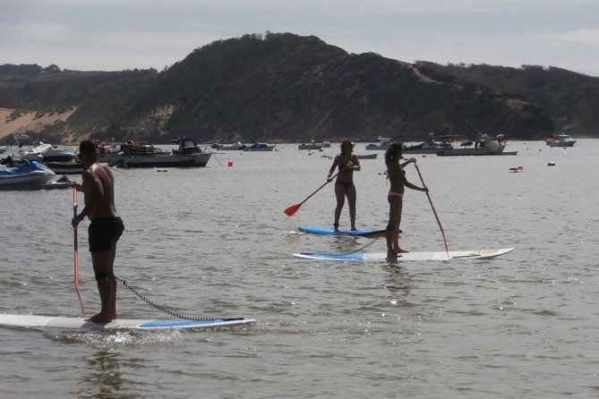 Rental of Boards and Stand up Paddle Lessons - Key Points