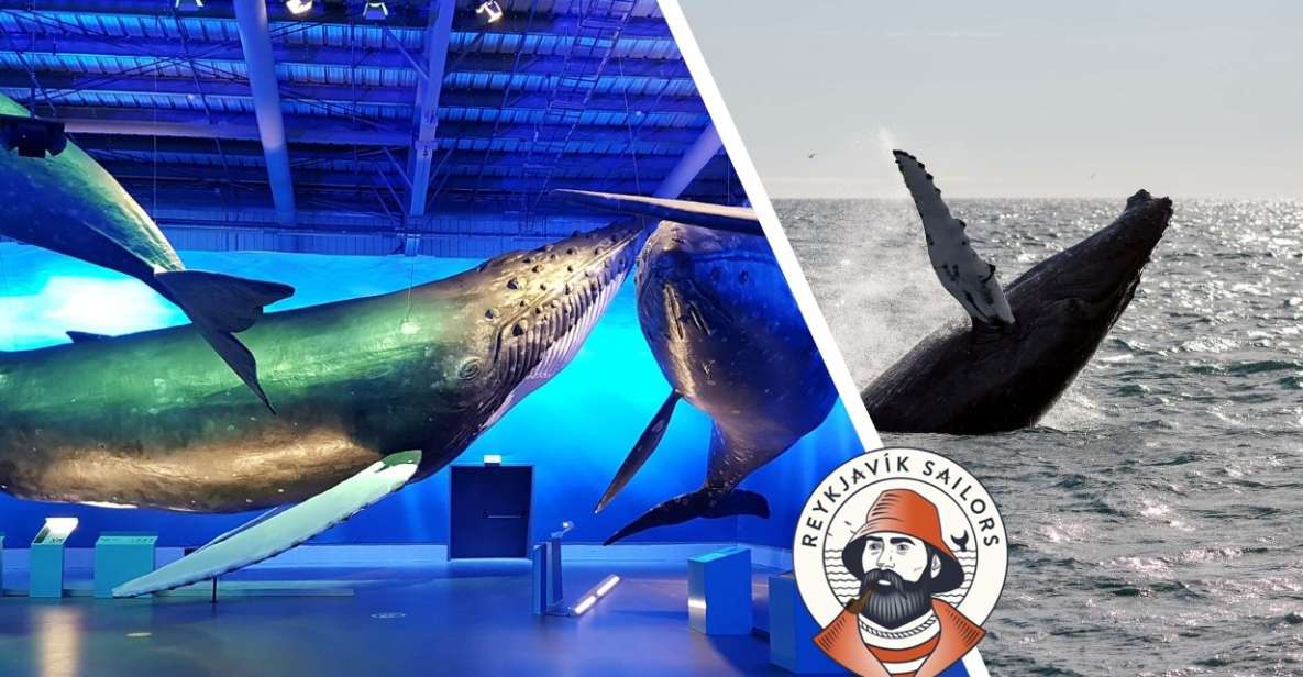 Reykjavik: Whale Watching Excursion & Whale Exhibition - Key Points