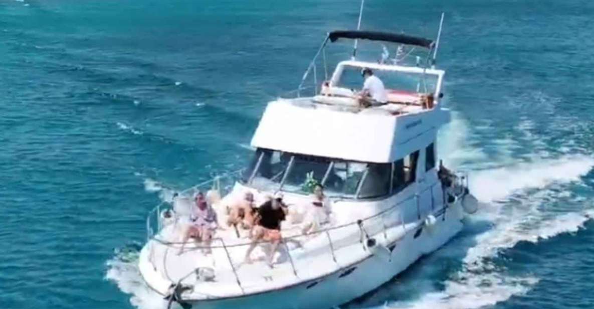 Rhodes Island: Private Boat Cruises to the Best Bays of Rhod - Rhodes Island: Private Boat Cruises Overview