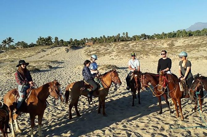 Ride a Horse Around the Beautiful Beaches of Todos Santos. - Key Points