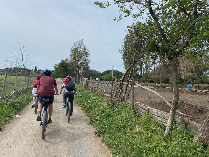 Rome: Appian Way Guided Tour on E-Bike With Wine Tasting - Key Points