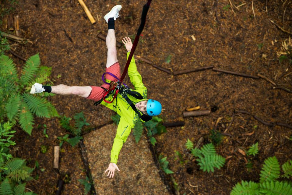 Rotorua: Redwoods Altitude High Ropes Adventure - Key Points