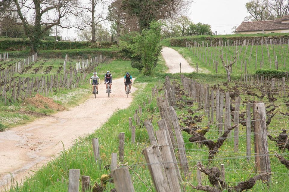 Saint-Émilion: Gravel Bike Tour, Wine Tasting & Picnic - Key Points