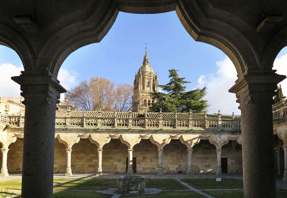 Salamanca: Miguel De Cervantes Walking Tour - Key Points