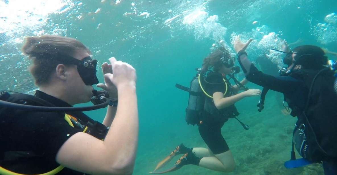 Salou: Scuba Diving - Key Points