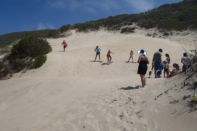 Sandboarding Tour in Knysna, South Africa - Key Points