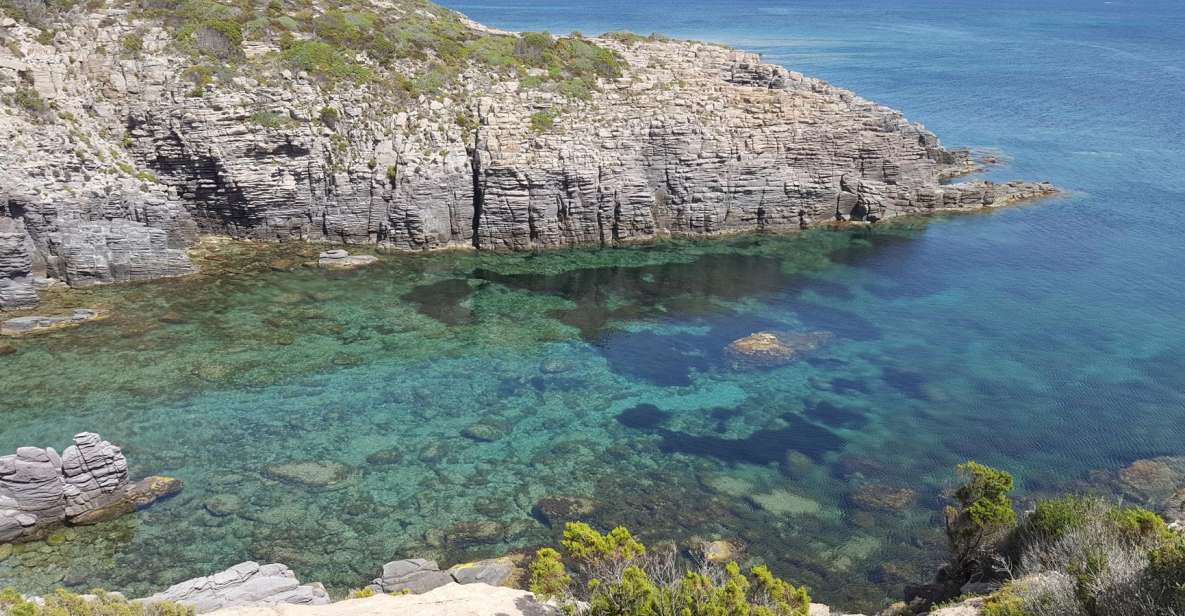 Sardinia: San Pietro Island and Carloforte Tour - Key Points